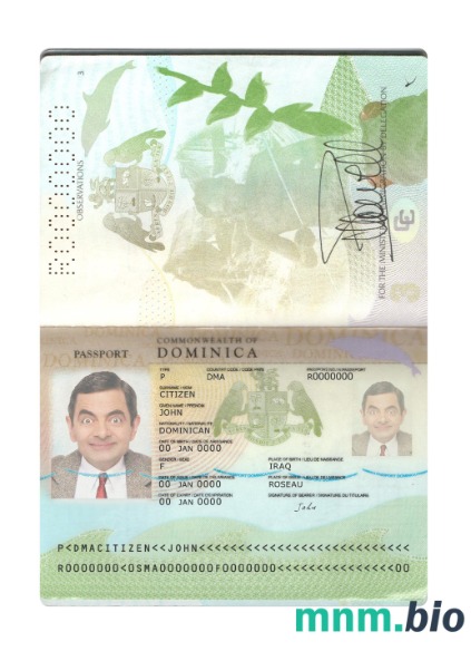 Dominica passport new 2019-obecnie, szablon w formacie PSD